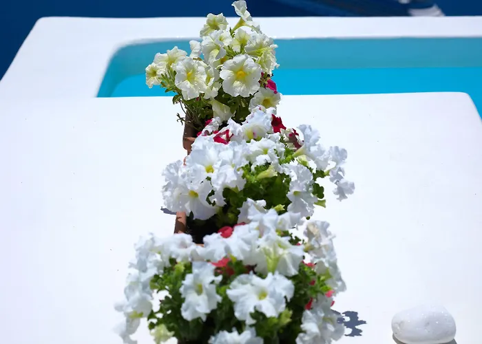 Alexander 3* Imerovigli (Santorini)